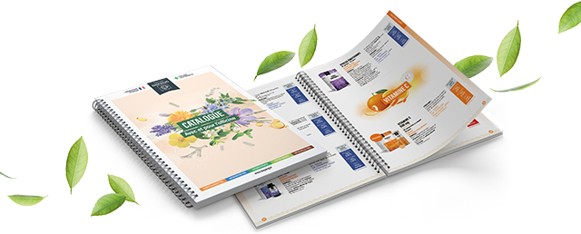 Catalogue Dayang