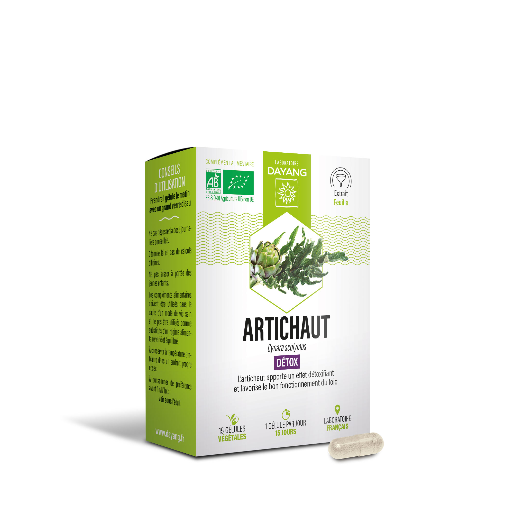 Artichaut BIO
