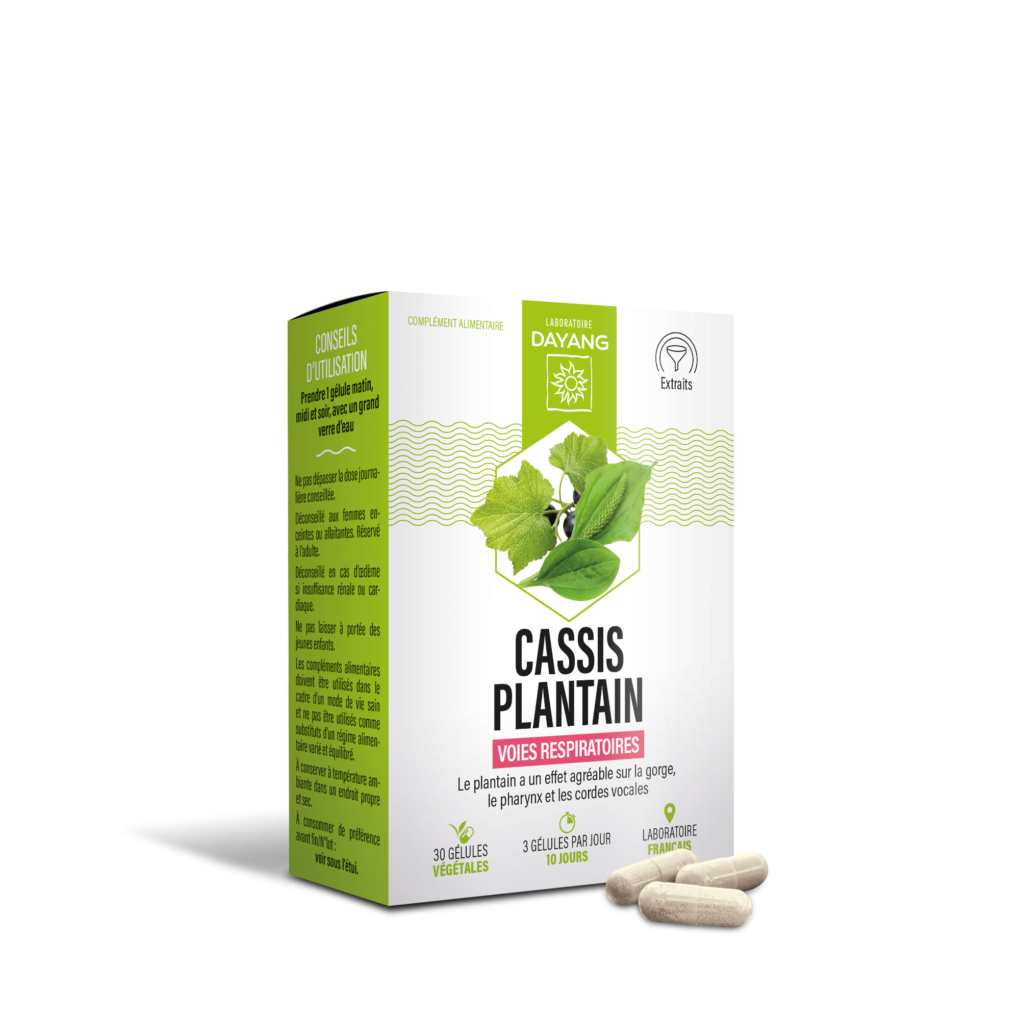 Cassis Plantain 1
