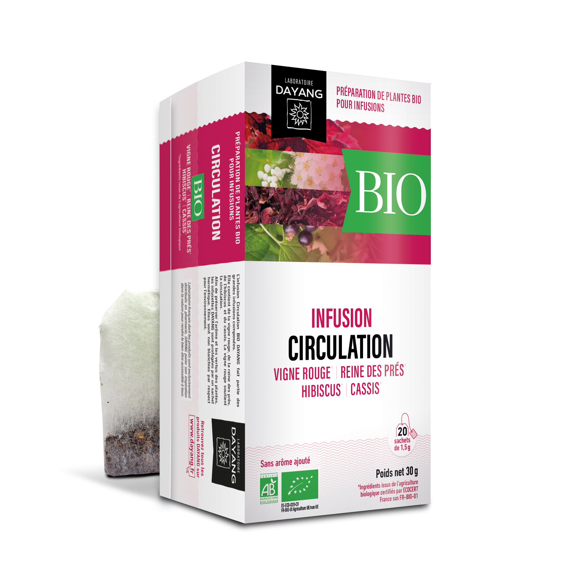 Circulation BIO 1