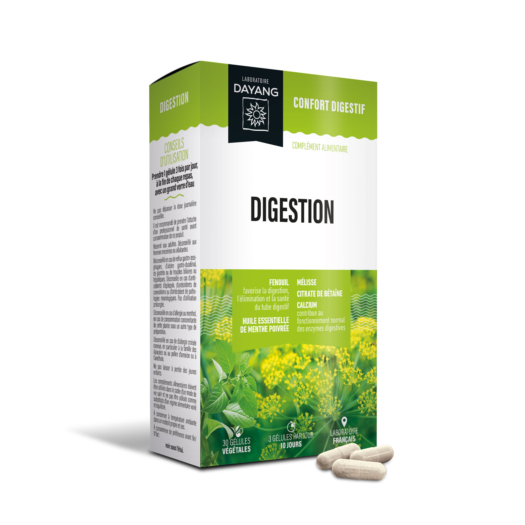Digestion