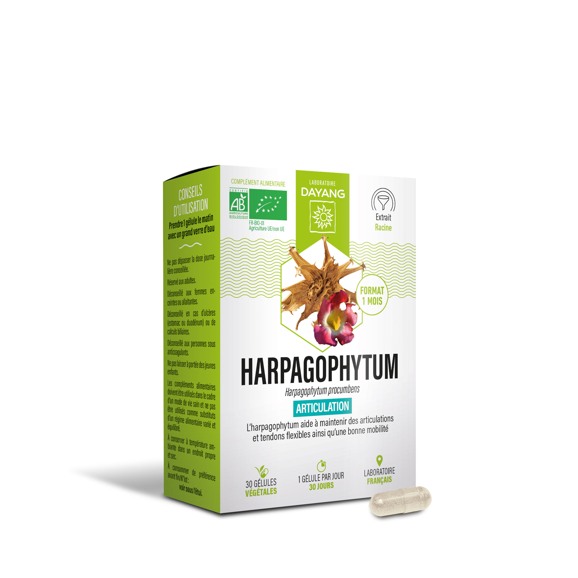 Harpagophytum BIO