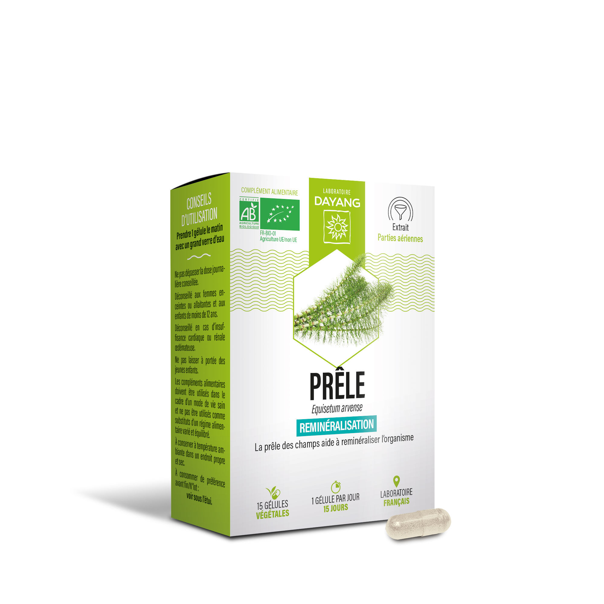 Prêle BIO