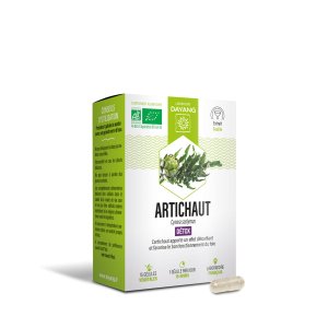 Artichaut BIO