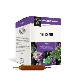 Artichaut BIO