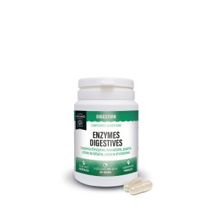 Enzymes digestives