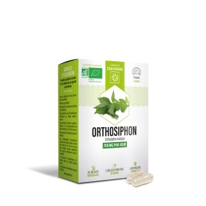Orthosiphon BIO
