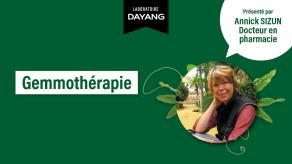 Webinaire