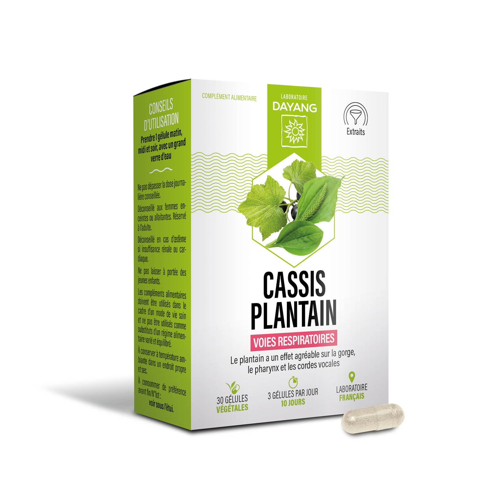 Cassis Plantain