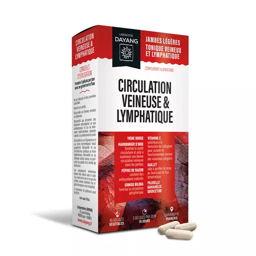 Circulation veineuse et lymphatique