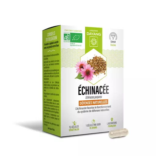 Echinacée BIO