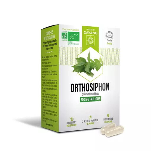 Orthosiphon BIO