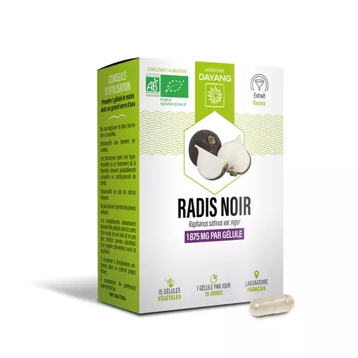 Radis noir BIO